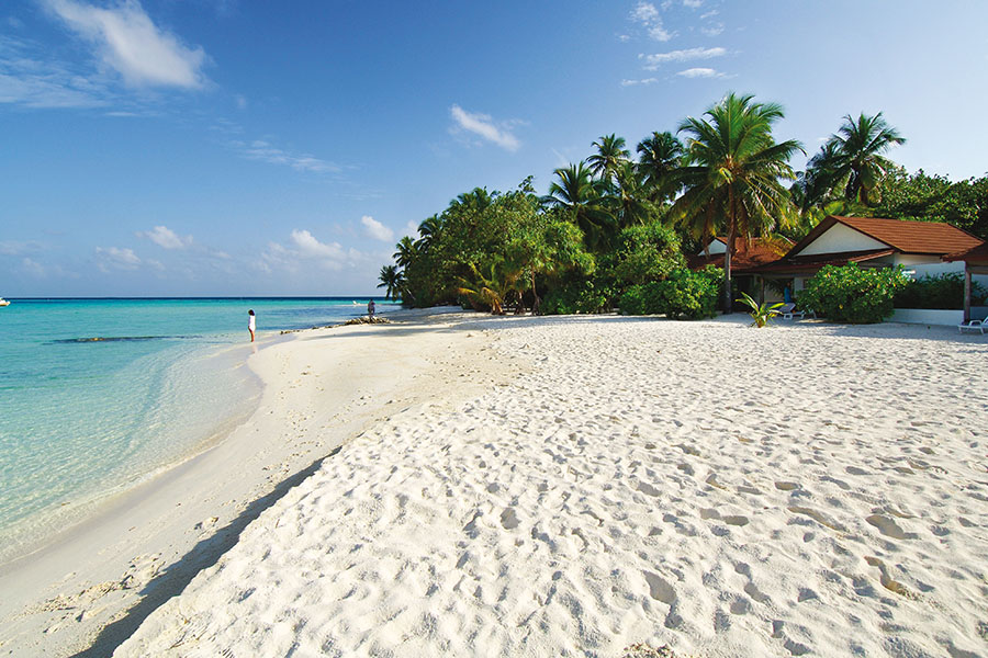 钻石阿莎格 - 海滨别墅图片3 -  Diamonds Athuruga Beach&Water Villas Beachfront Villa Photo 3