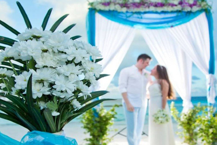 瑞提海滩度假村 - 蜜月 & 婚礼图片3 - Reethi Beach Resort  Honeymoon & Weeding Photo 3