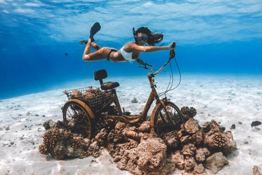 富士法鲁 - 海底游乐场图片2 - Fushifaru Maldives Diving Photo 2