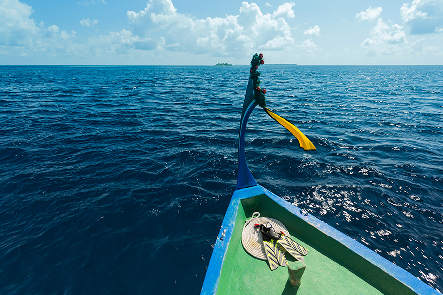 菲利西澳 - 远足图片4 - Filitheyo Island Resort Maldives Excursions Photo 4