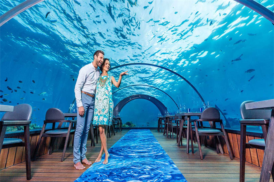 芙拉瓦丽 - 5.8水下餐厅图片4 - Hurawalhi Maldives 5.8 Undersea Photo 4