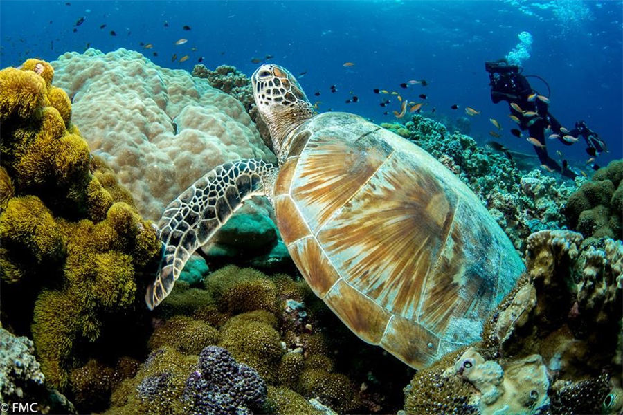 奥臻籁馥玛度 - 潜水和水上运动图片4 - Ozen LIFE Maadhoo Diving & Water Sports Photo 4