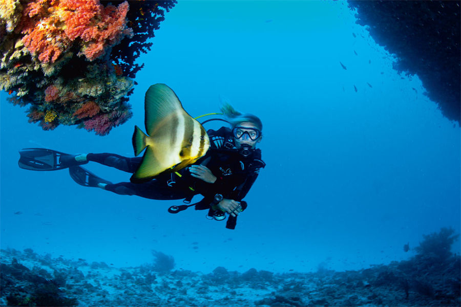 维拉私人岛 - 潜水图片1 - Velaa Private Island Maldives Diving Photo 1
