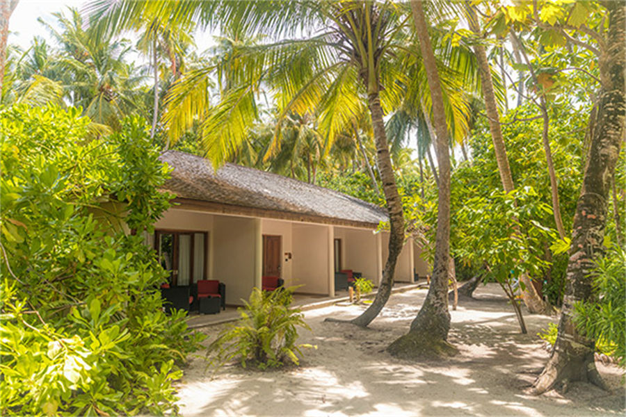 维拉蔓豪 - 花园房图片1 - Vilamendhoo Island Resort  Garden Room Photo 1