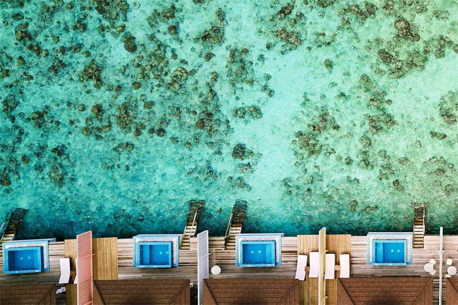 芙拉瓦希 - 海洋水上泳池别墅图片1 - The Standard，Huruvalhi Maldives Ocean Overwater Pool Villa Photo 1