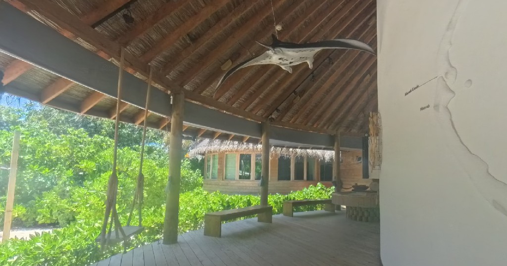 六善拉姆 - 海洋博物馆图片2 - Six Senses Latitude Laamu Oceanographic Museum Photo 2