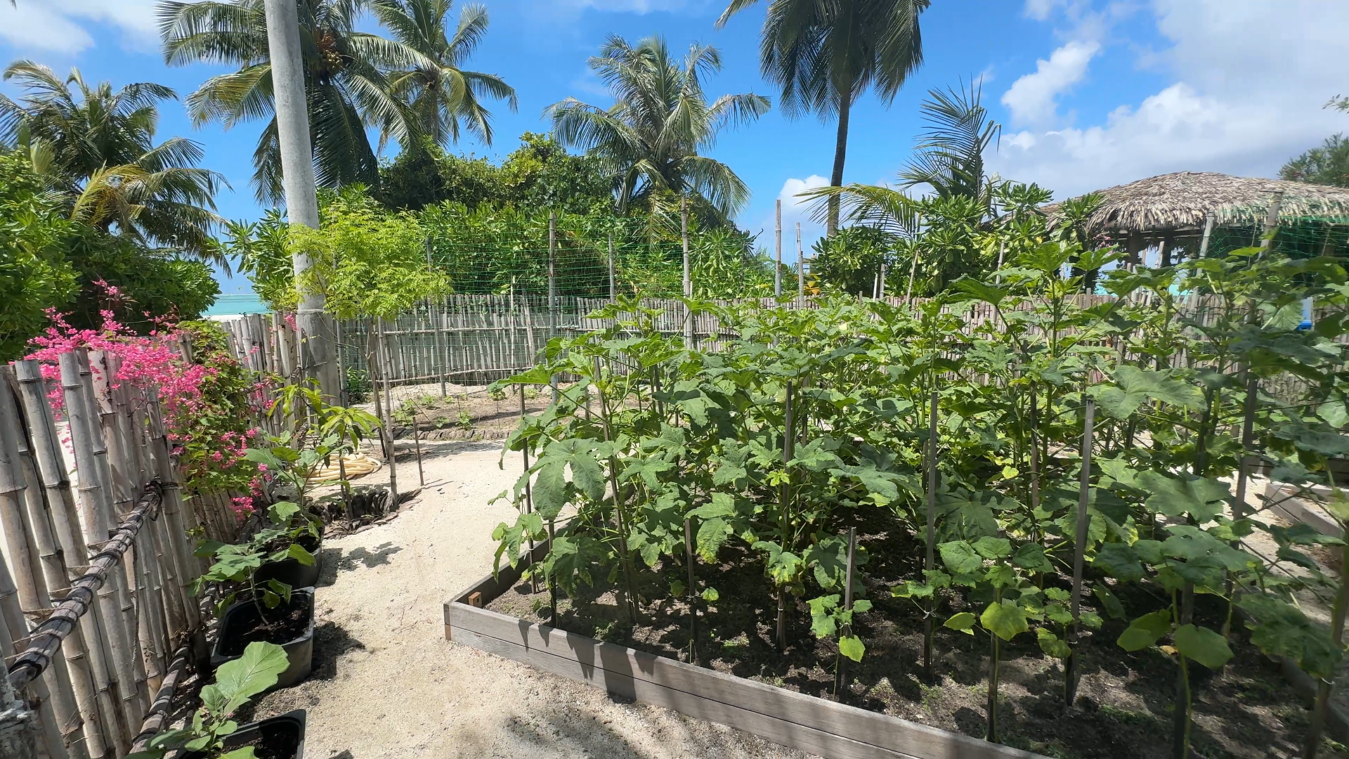 艾美 - 绿色温室图片3 - Le Meridien Maldives Resort & Spa The Green house Photo 3