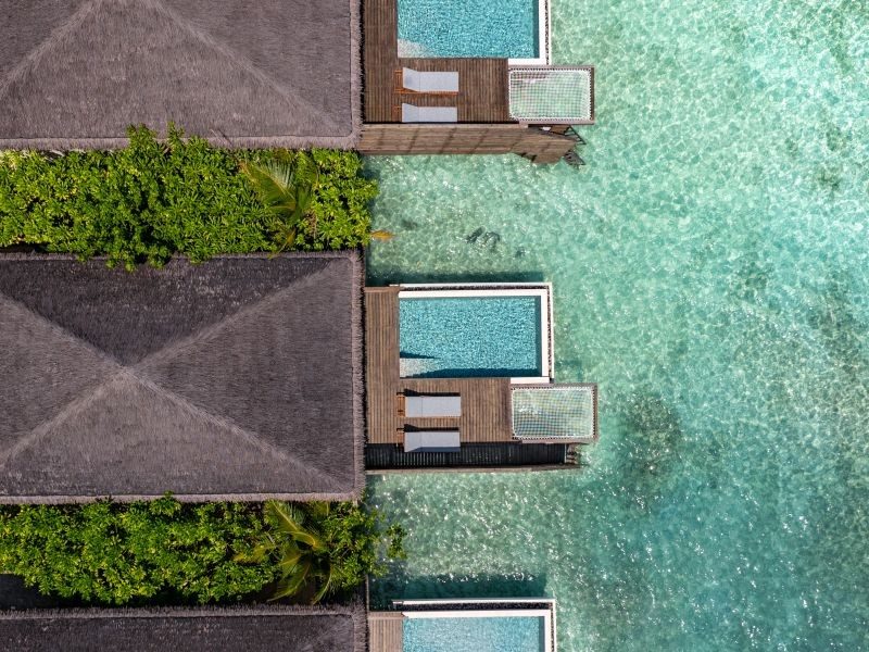 费杜岛/都喜D2 - 海滨泳池别墅图片 - DusitD2 Feydhoo Maldives Waterfront Pool Villa