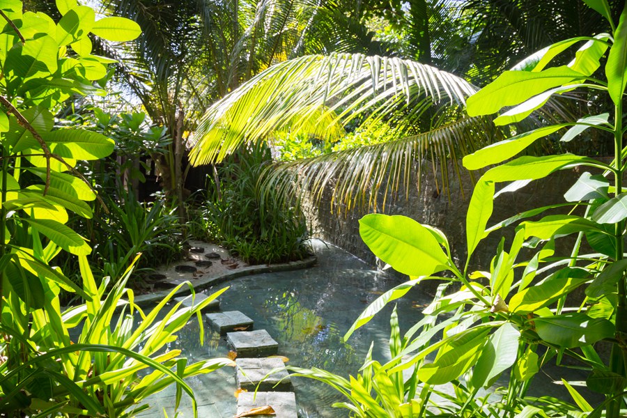 索尼娃富士 - 单卧索尼娃富士泳池别墅图片3 - Soneva Fushi Soneva Fushi Villa Suite with Pool Photo 3
