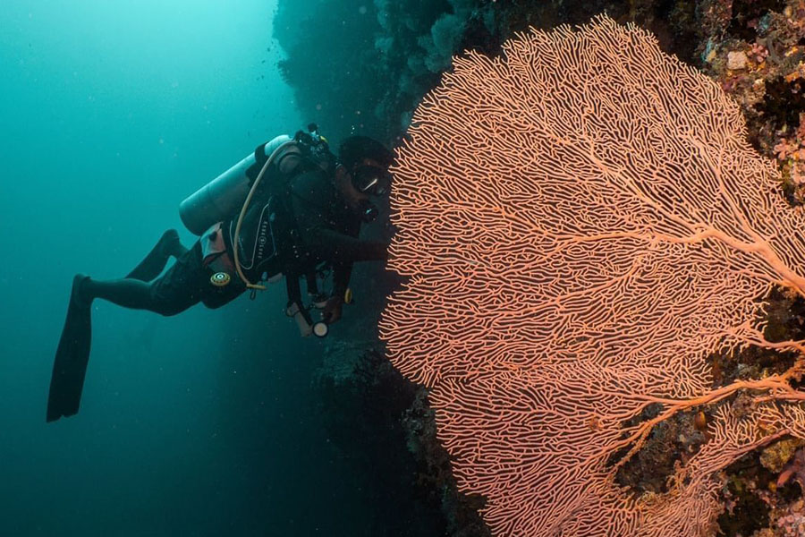 伊芙鲁 - 浮潜 & 水上运动图片1 - Ifuru Maldives Diving &  WaterSports Photo 1