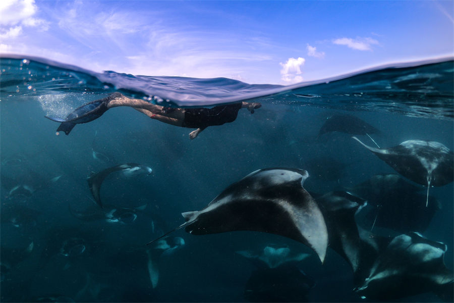 芙拉薇莉 - 潜水和水上运动图片2 - Furaveri lsland Resort & Spa Diving & Water Sports Photo 2