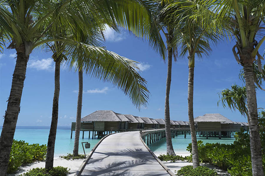 瓦卡鲁 - 水上别墅图片4 - Vakkaru Maldives Over Water Villa Photo 4