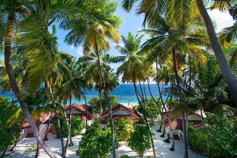 钻石泰达芙士 - 沙滩平房 图片3 - Diamonds Thudufushi Beach&Water Villas Beach Bungalow Photo 3