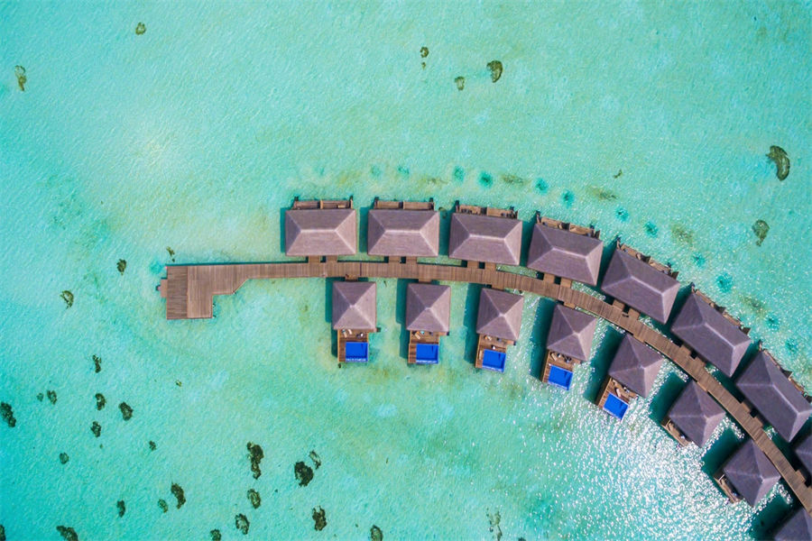可可尼 - 泻湖泳池套房图片2 - Cocoon Maldives  Lagoon Suite with Pool Photo 2