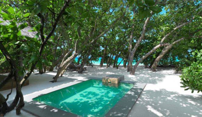 瓦卡鲁 - 沙滩泳池别墅 图片4 - Vakkaru Maldives Beach Pool Villa Photo 4