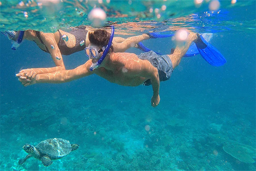 安纳塔纳娜拉杜私人 - 潜水图片2 - Naladhu Private Island Diving Photo 2