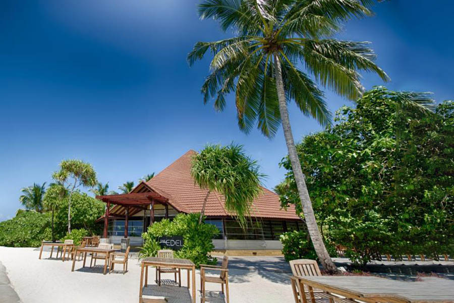 鲁滨逊 - 主餐厅图片2 - Robinson Club Maldives Main Restaurant Photo 2