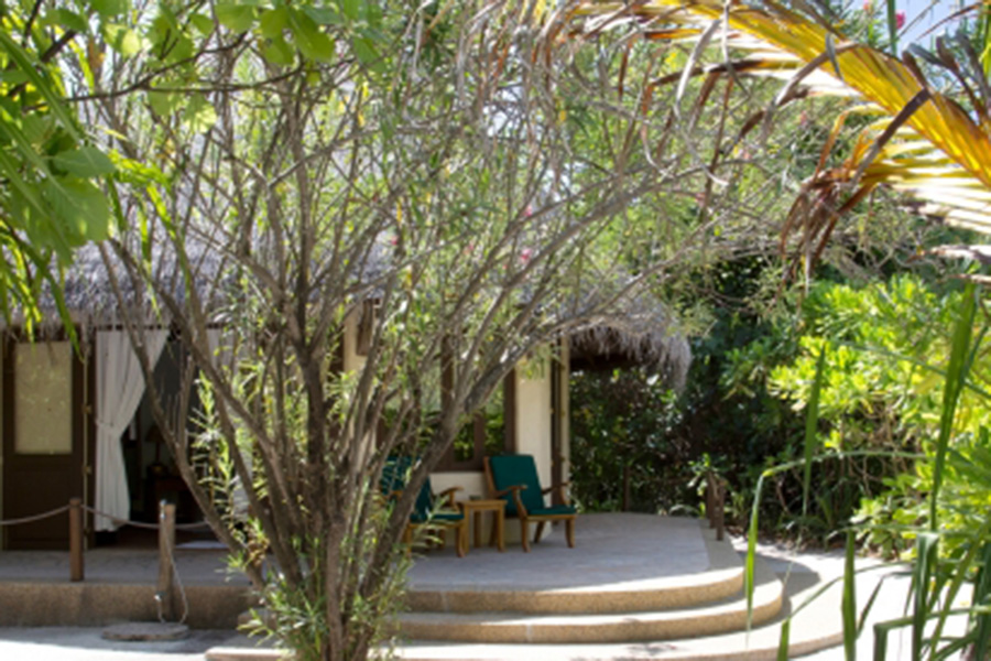 杜妮可鲁 - 日落沙滩别墅 图片1 - Coco Palm Dhuni Kolhu Sunset Beach Villa Photo 1