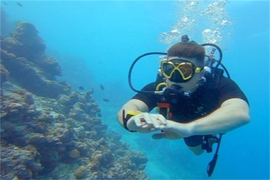 瓦度 - 潜水图片3 - Adaaran Prestige Vadoo lsland Resort Diving Photo 3