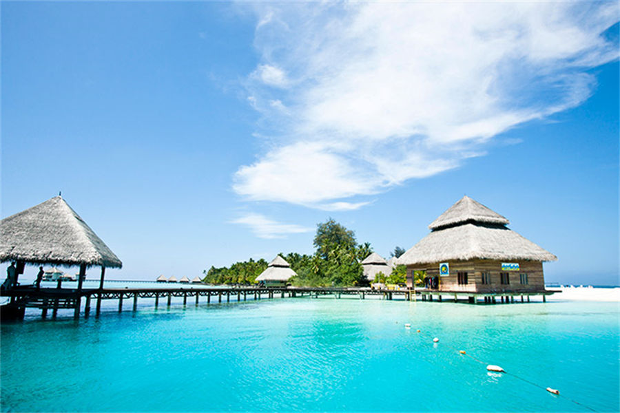 绚丽 - 潜水图片4 - Adaaran Club Rannalhi    Diving Photo 4