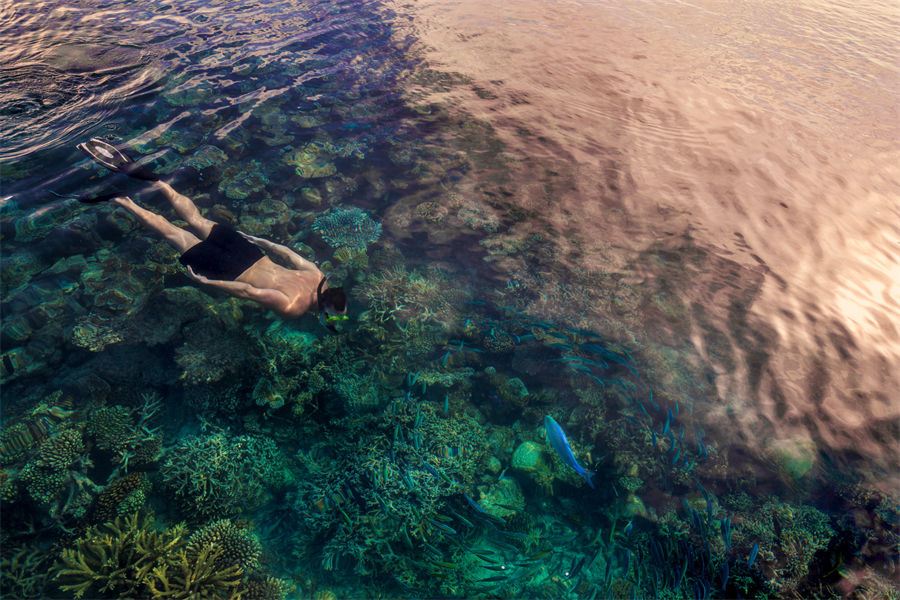 四季兰达吉拉瓦鲁 - 潜水和水上运动中心图片2 - Four Seasons Landaa Giraavaru Diving & Water Sports Photo 2