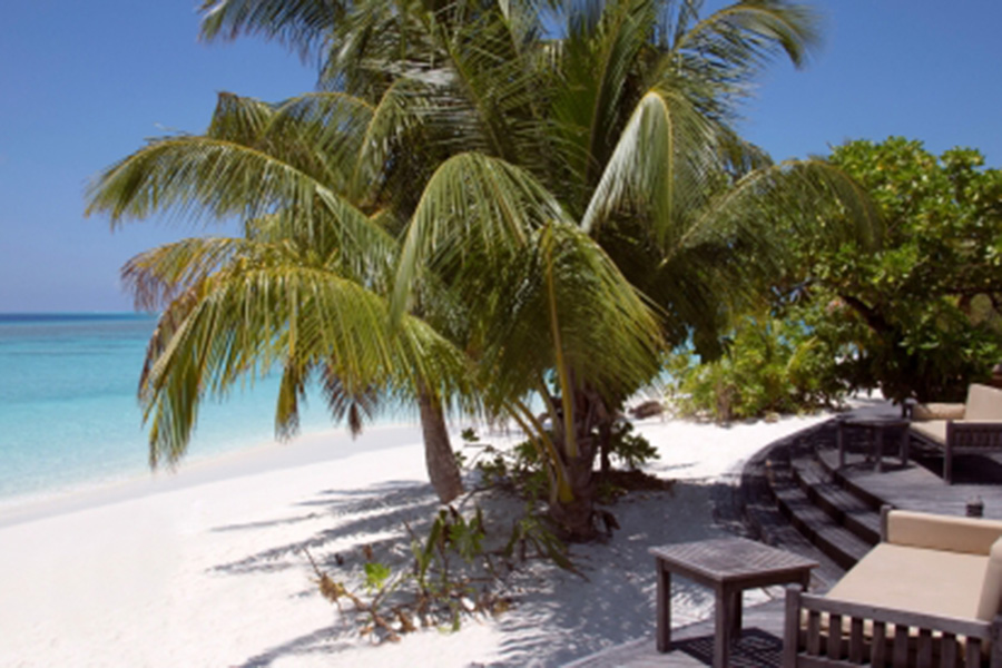 杜妮可鲁 - 海螺酒吧图片4 - Coco Palm Dhuni Kolhu CONCH BAR Photo 4