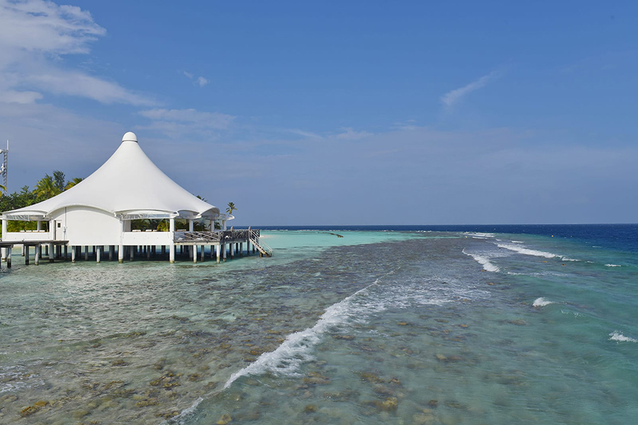 萨芙莉 -  Palm 酒吧图片4 - Safari island  Palm Bar Photo 4