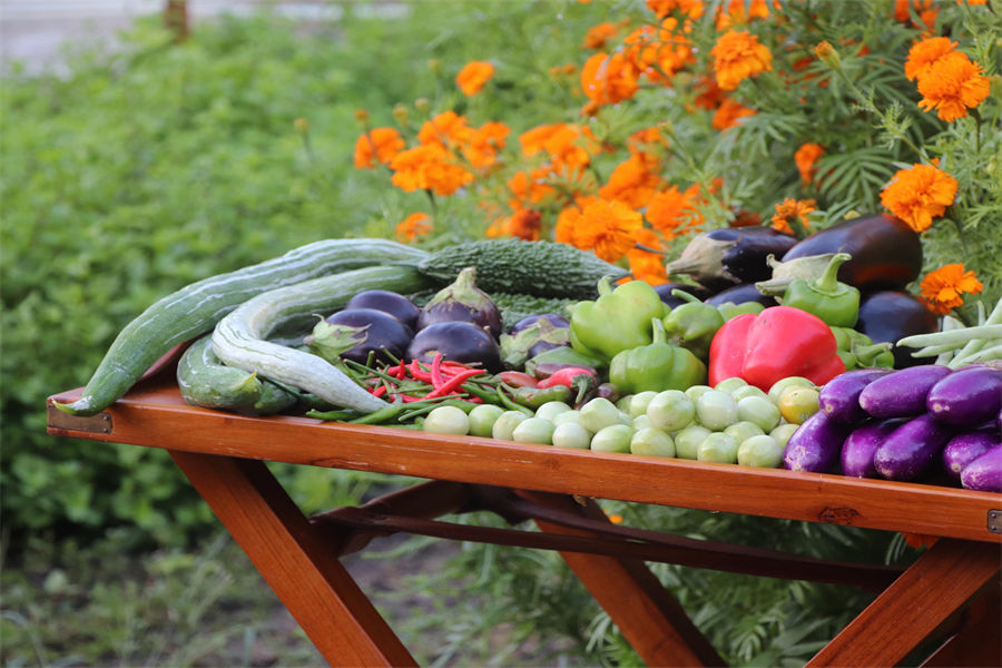 瑞喜敦D - 有机菜园图片2 -  The Residence Maldives at Dhigurah Earth Basket Photo 2