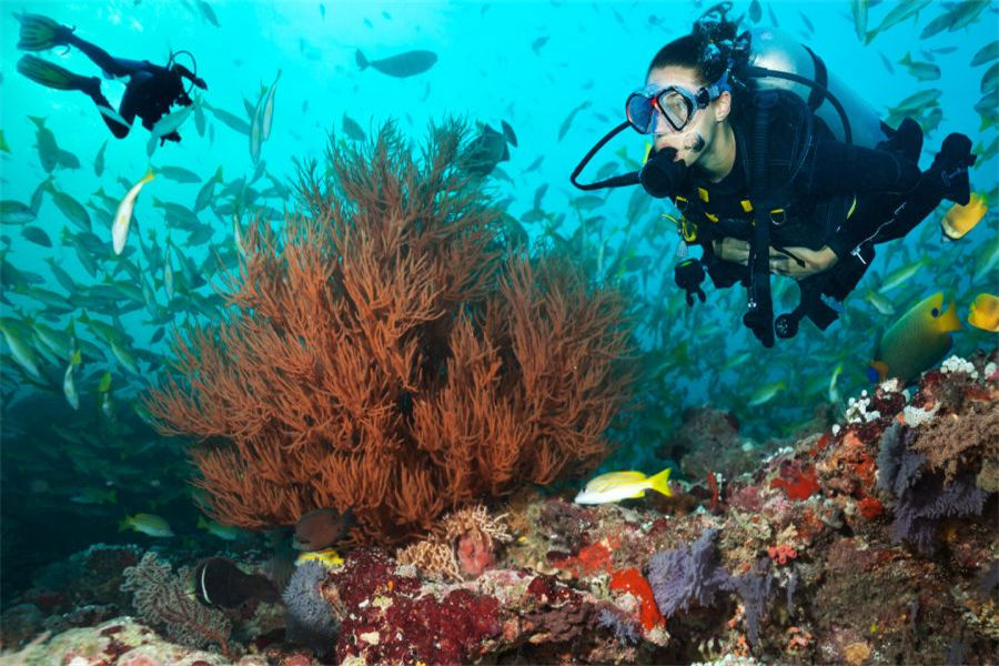 希娜蒙哈库拉 - 潜水图片1 - Cinnamon Hakuraa Huraa Maldives Diving Photo 1
