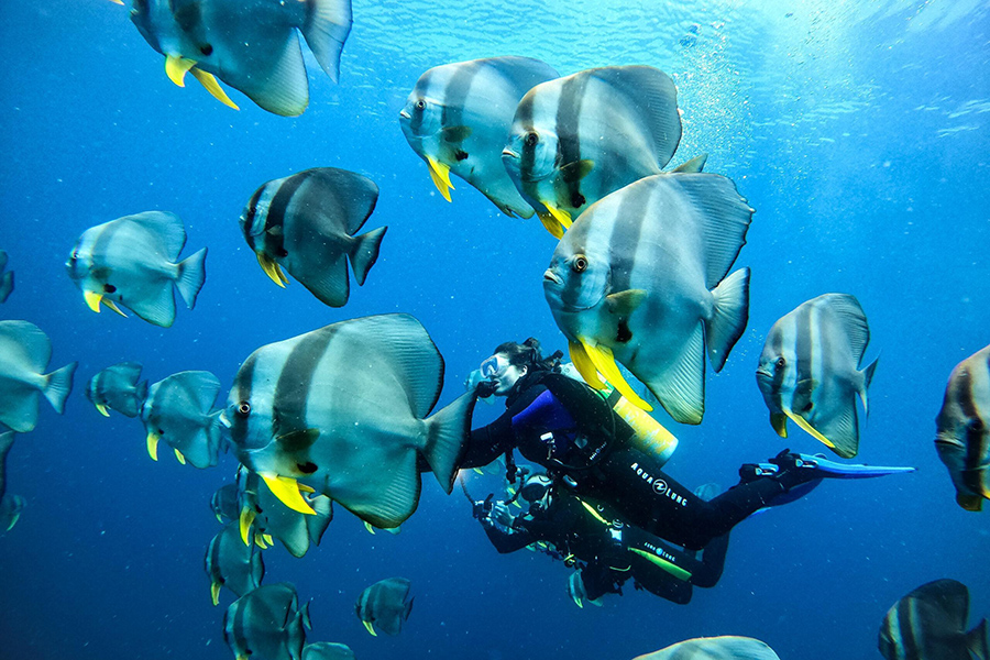 蜜月 - 水上运动及浮潜图片4 -  Meeru Island Resort Diving & Water Sports Photo 4