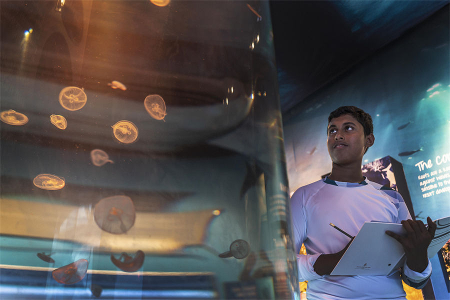 四季兰达吉拉瓦鲁 - 海洋探索中心图片2 - Four Seasons Landaa Giraavaru Marine Exploration Center Photo 2