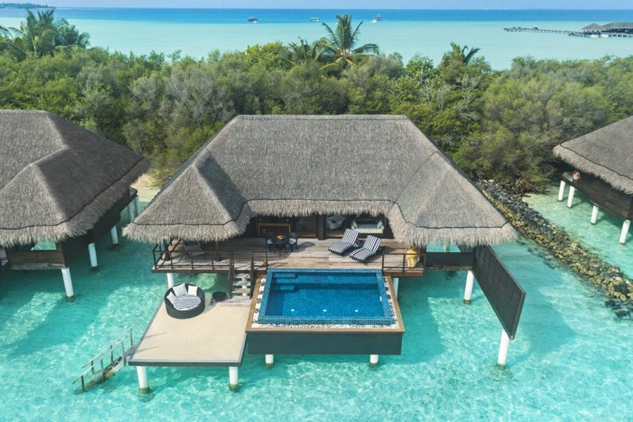 泰姬珍品 - 单卧海洋泳池套房图片1 - Taj Exotica Resort & Spa One-Bedroom Ocean Suite with Pool Photo 1